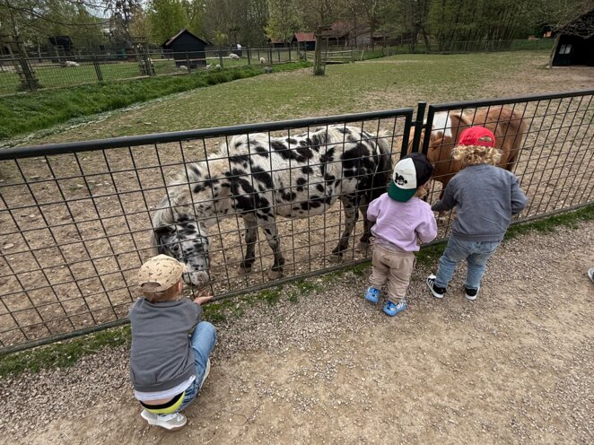 Návštěva minizoo v Častolovicich