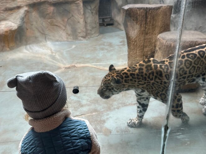 ZOO Olomouc - Říjen 2024