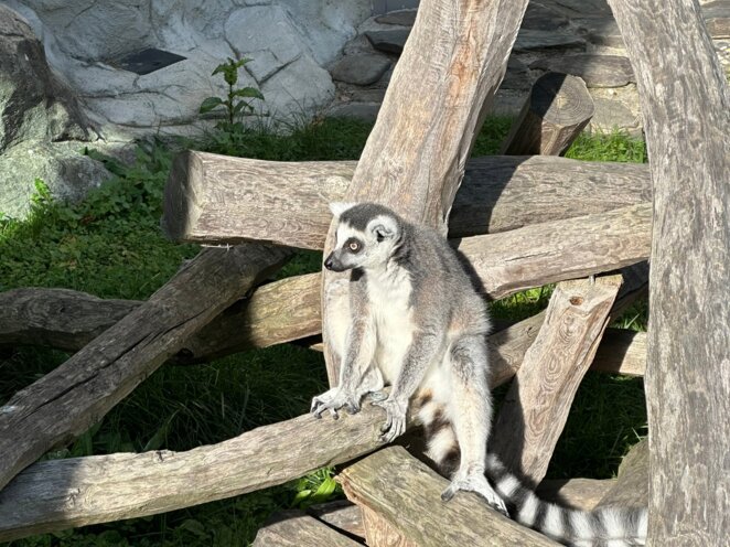 ZOO Olomouc - Říjen 2024
