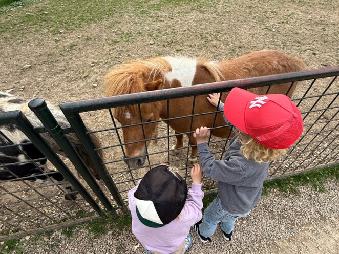 Návštěva minizoo v Častolovicich