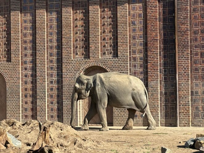 ZOO Lipsko 09/2024