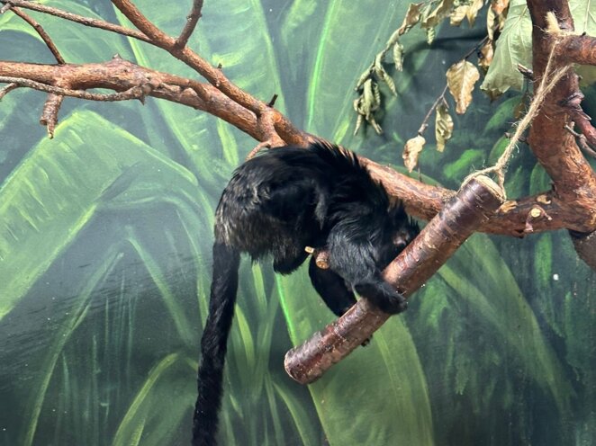 ZOO Olomouc - Říjen 2024