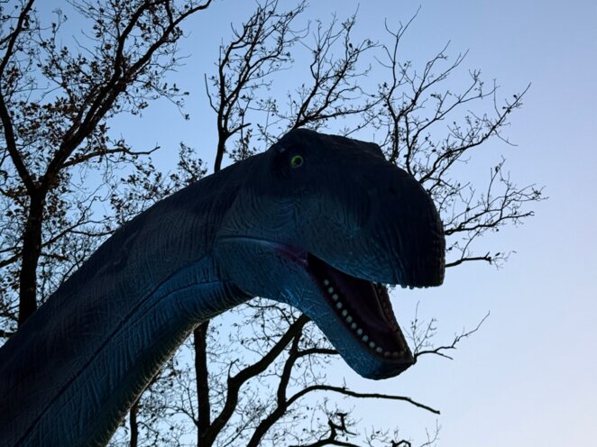 Návštěva Dinolive v zimě
