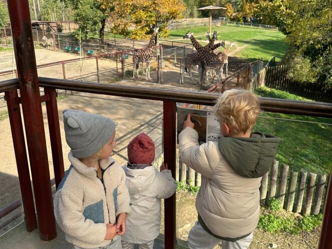 ZOO Olomouc - Říjen 2024