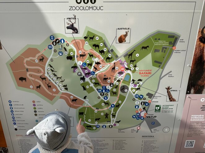 ZOO Olomouc - Říjen 2024