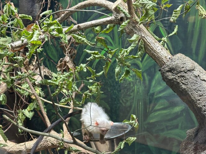 ZOO Olomouc - Říjen 2024