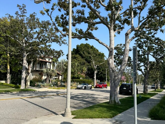 Trip do USA - Los Angeles