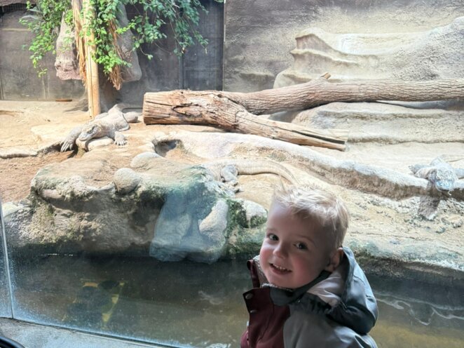 Zoologická zahrada v Praze - 2025 únor