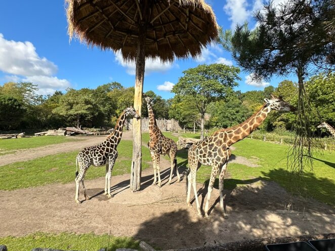 ZOO Lipsko 09/2024