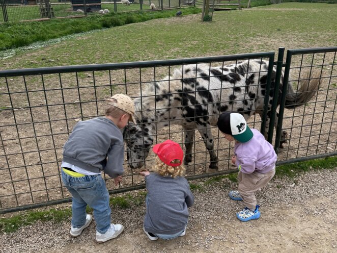 Návštěva minizoo v Častolovicich