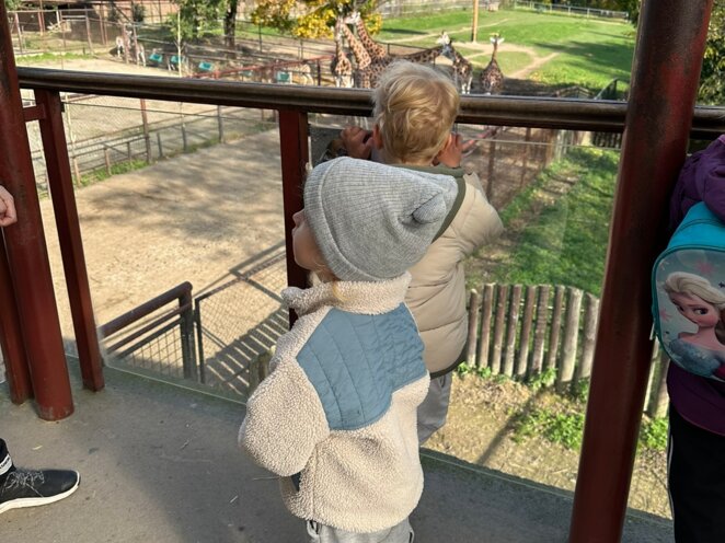 ZOO Olomouc - Říjen 2024