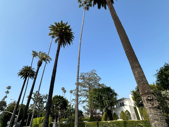 Trip do USA - Los Angeles