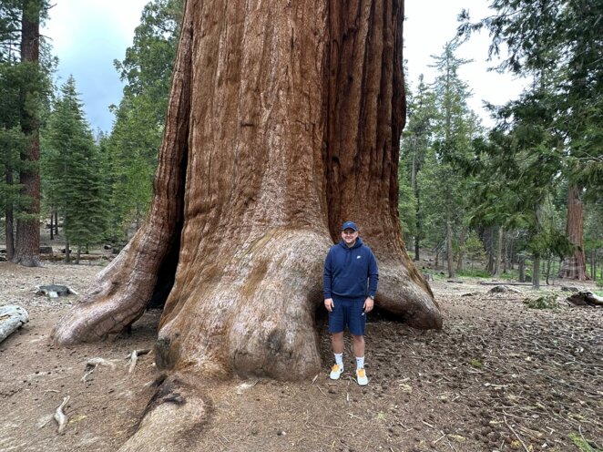Trip do USA - Národní park Sequoia