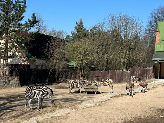 ZOO v Liberci s babi a dědou