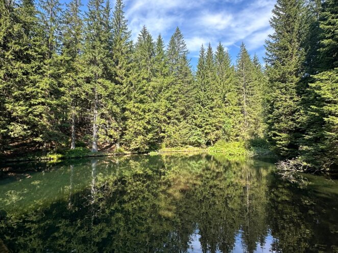 Krkonoše 08/2024