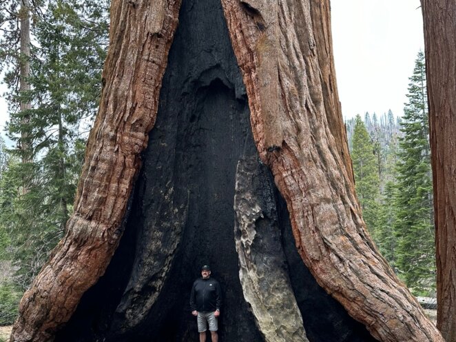 Trip do USA - Národní park Sequoia