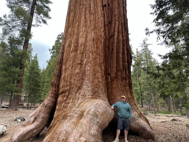 Trip do USA - Národní park Sequoia