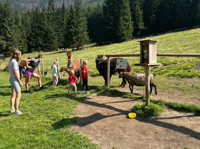 Krkonoše 08/2024