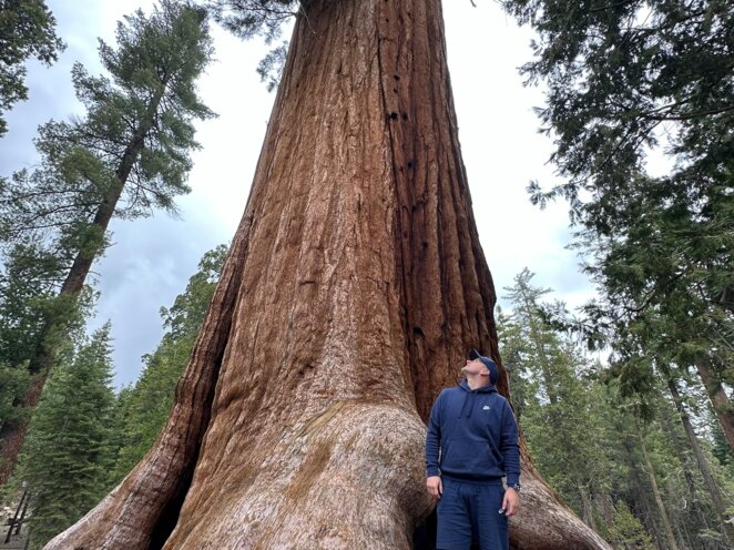 Trip do USA - Národní park Sequoia