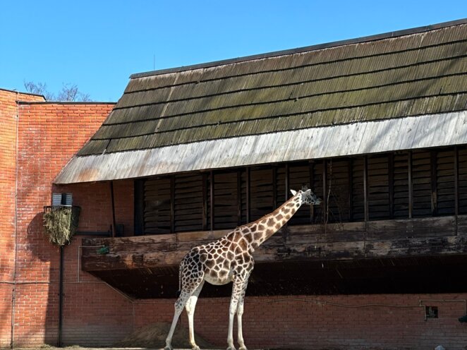 ZOO v Liberci s babi a dědou