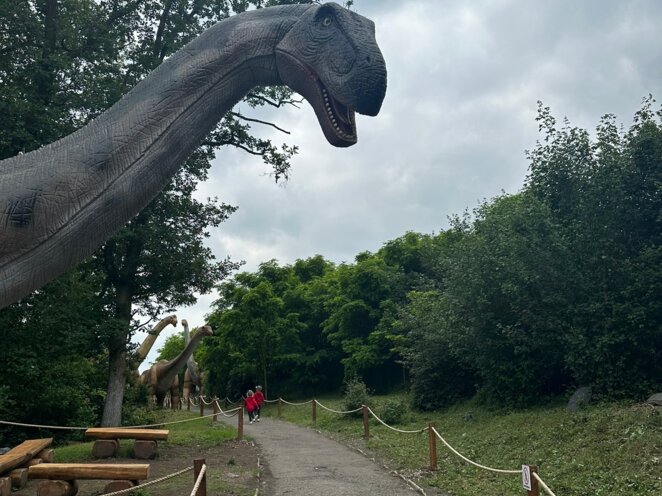 Výlet do Dinolive v Praze 06/2024