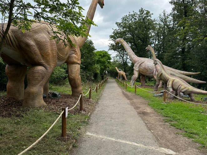Výlet do Dinolive v Praze 06/2024