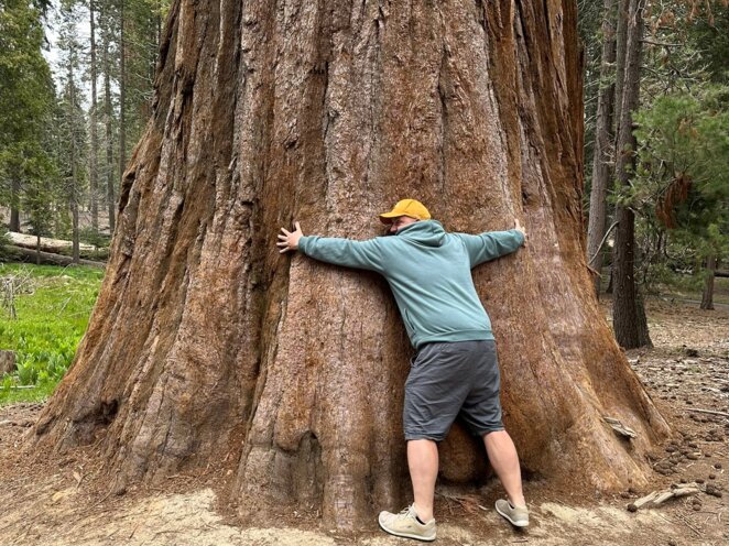 Trip do USA - Národní park Sequoia