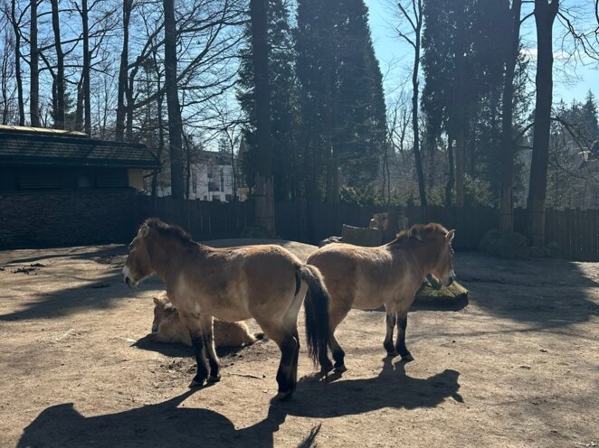 ZOO v Liberci s babi a dědou