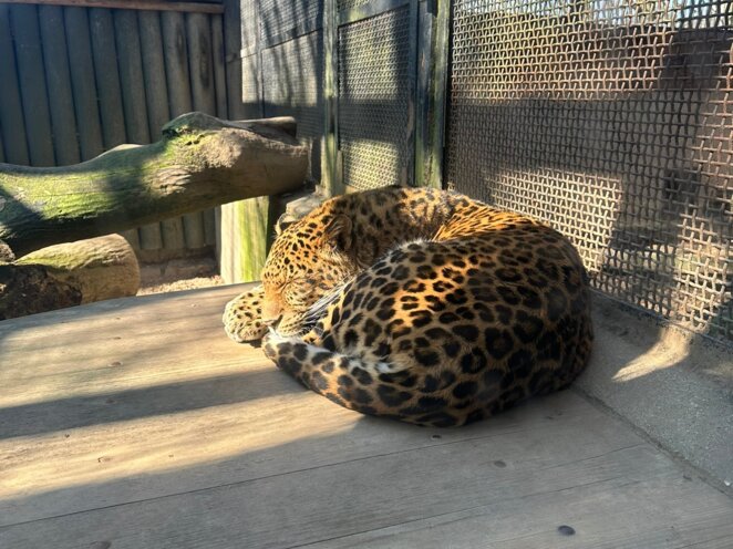 ZOO v Liberci s babi a dědou