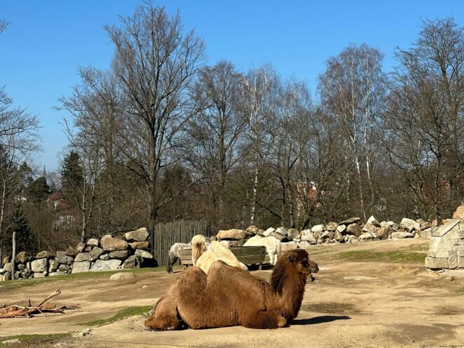ZOO v Liberci s babi a dědou