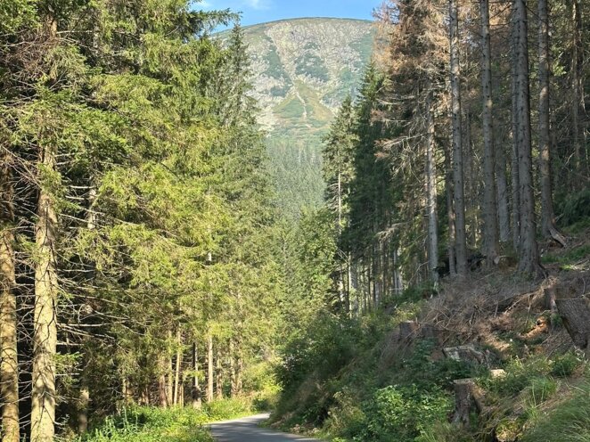 Krkonoše 08/2024