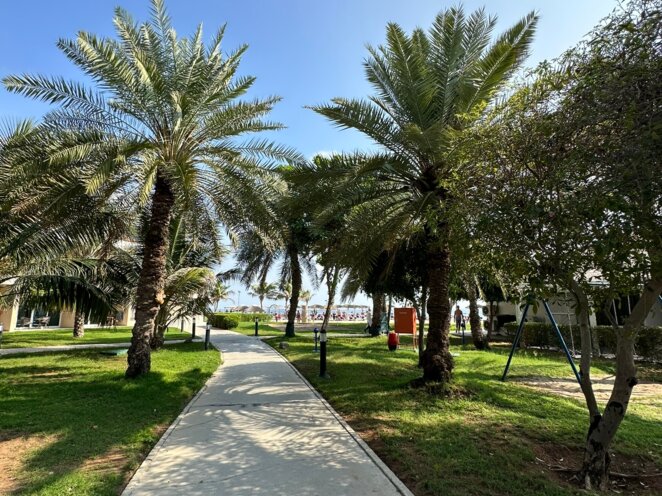 Dárek ke 30. narozeninám - Dubaj a Emiráty