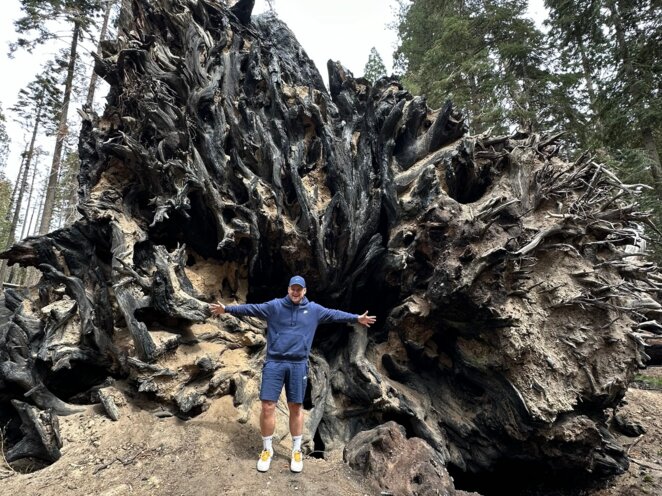 Trip do USA - Národní park Sequoia