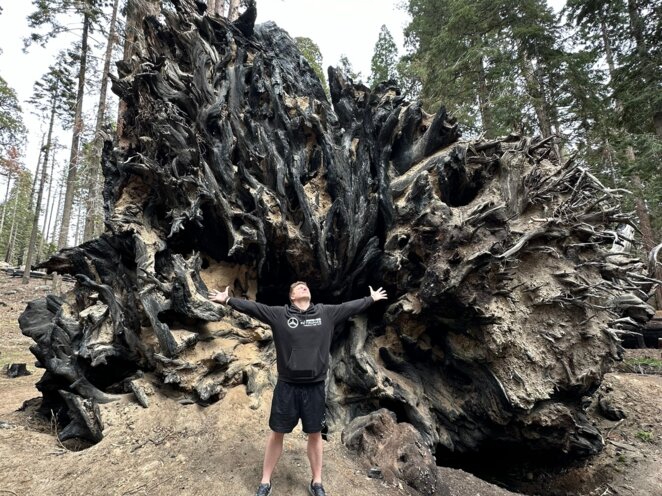 Trip do USA - Národní park Sequoia