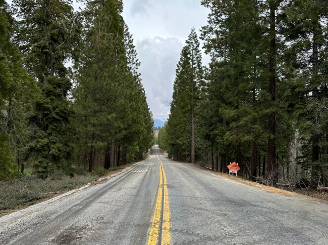 Trip do USA - Národní park Sequoia