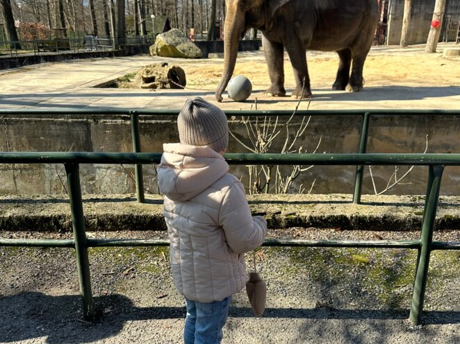 ZOO v Liberci s babi a dědou