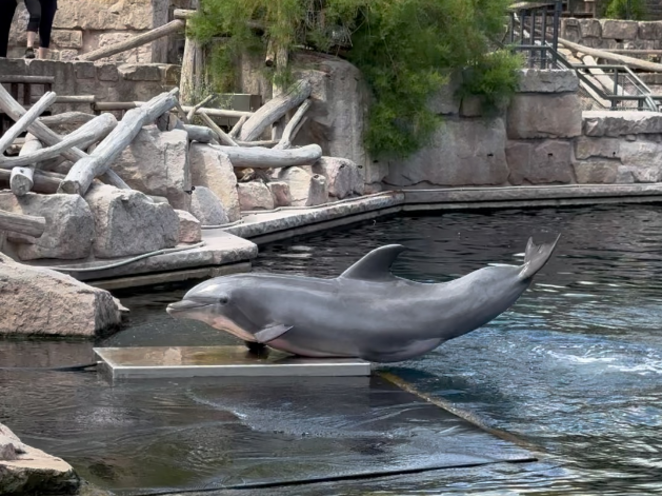 ZOO Norimberk 07/2023