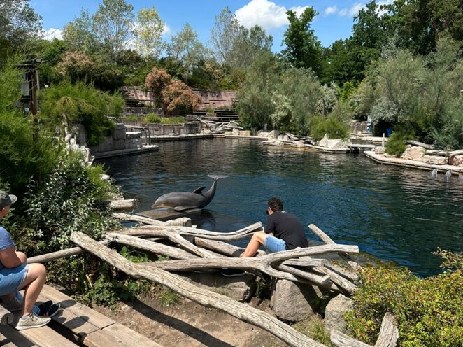 ZOO Norimberk 07/2023