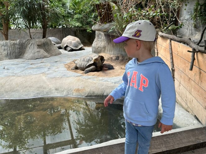 ZOO Praha 07/2023