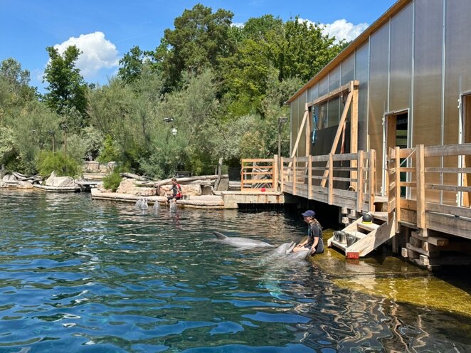 ZOO Norimberk 07/2023