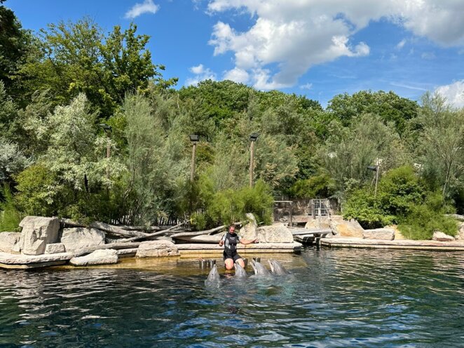 ZOO Norimberk 07/2023