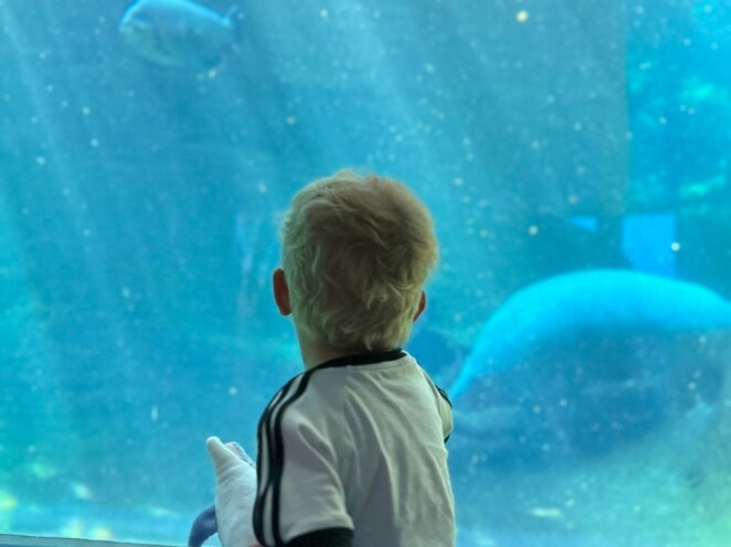 ZOO Norimberk 07/2023