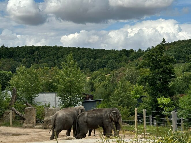 ZOO Praha 07/2023