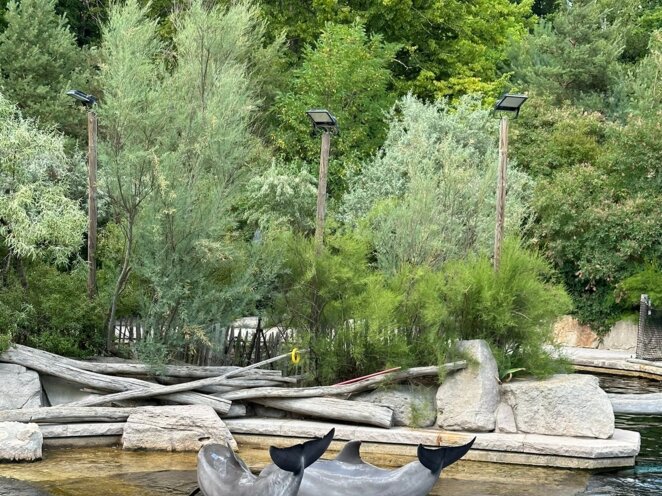 ZOO Norimberk 07/2023
