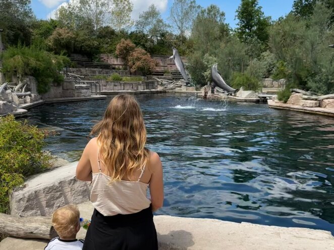 ZOO Norimberk 07/2023