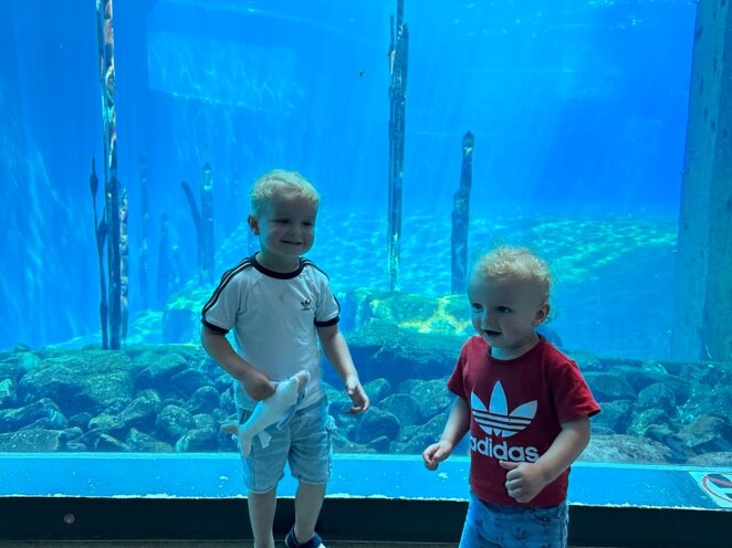 ZOO Norimberk 07/2023