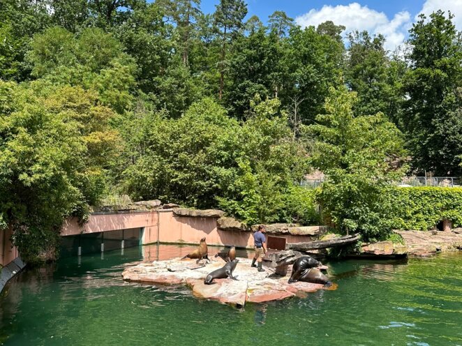 ZOO Norimberk 07/2023