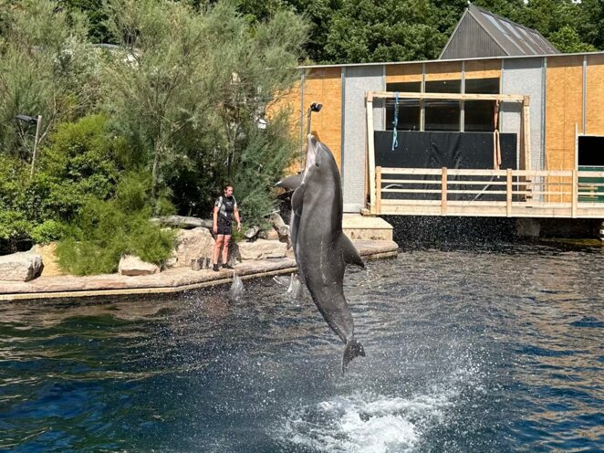 ZOO Norimberk 07/2023