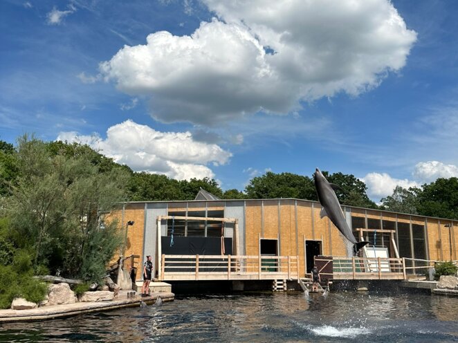 ZOO Norimberk 07/2023