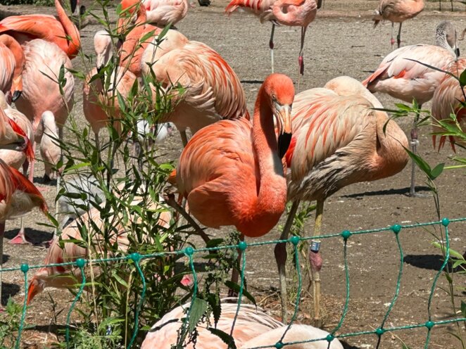ZOO Praha 07/2023